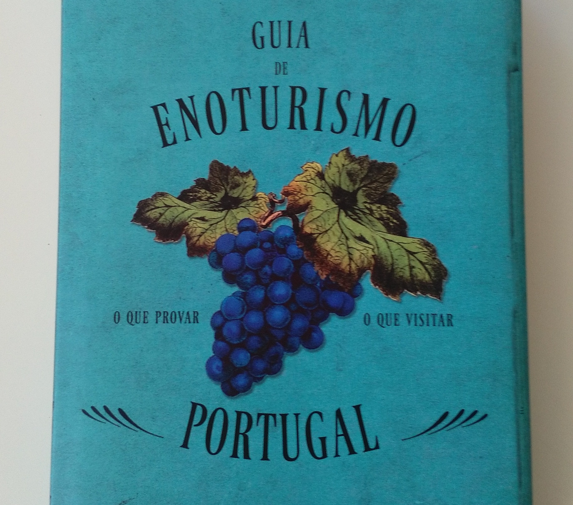 Newsletter n.º 38 - Foto 7